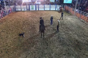 FORTES EMOÇÕES NA ARENA DE RODEIO