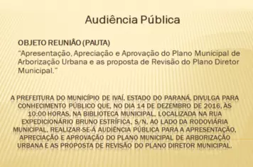 Audiência Pública