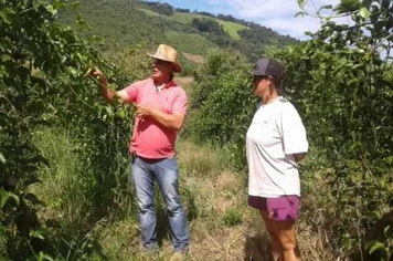 Programa de Diversificação das Propriedades Rurais atende produtores de Maracujá do Município de Ivaí